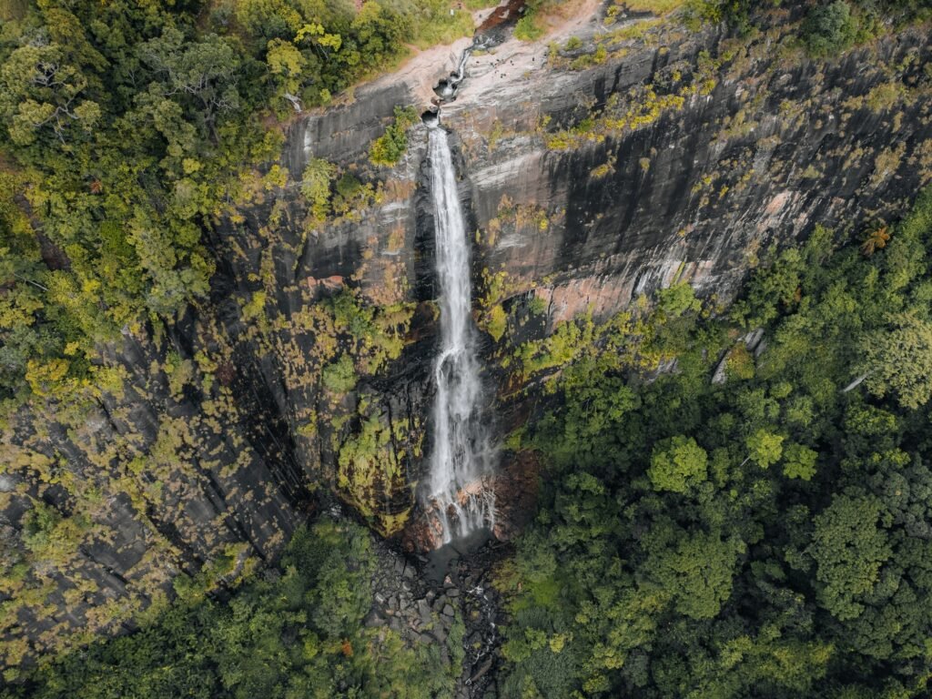 The Top 10 Destinations You Should Visit in Sri Lanka