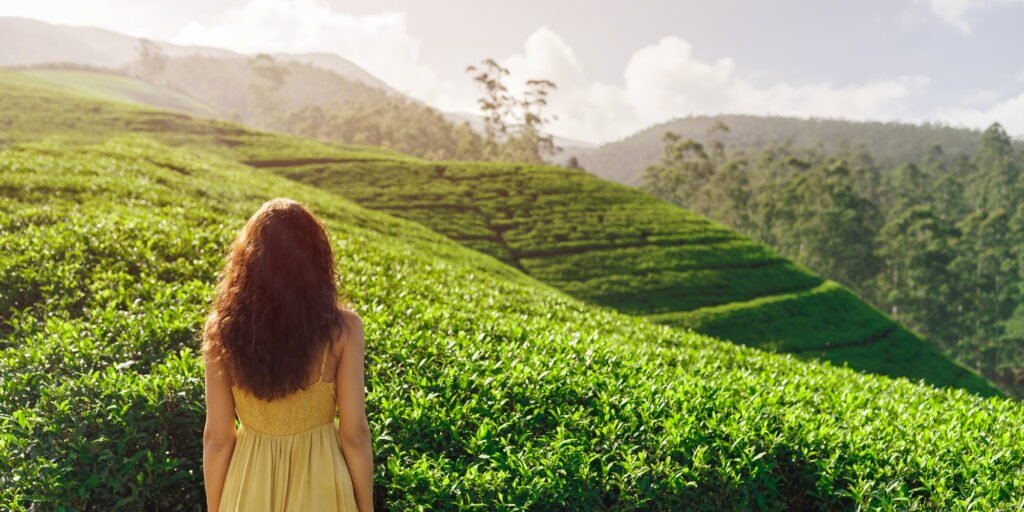 Exploring Sri Lanka’s Tea Country