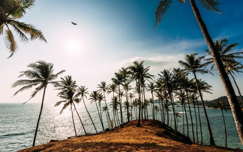 Cape by the ocean. Sea sunset. The dawn of the sea. Landscapes Of Asia. Landscapes of Sri Lanka
