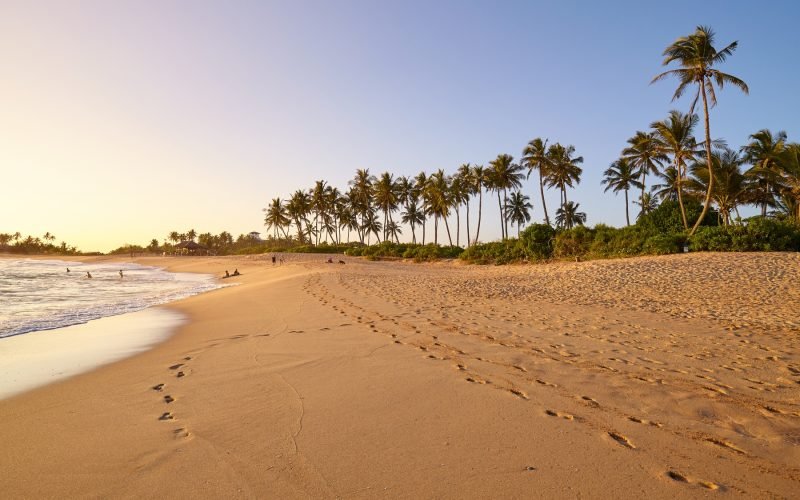 Sri Lanka paradise beach at sunset.