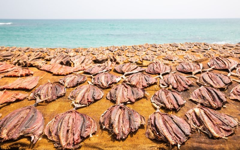 Tuna drying process on the coast of Sri Lanka